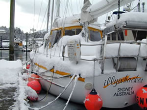 illywhacker under snow in Cordova