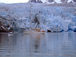 illywhacker at Reid Glacier