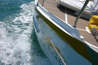 illywhacker bow wave